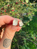Herkimers (self-mined) for Cynthia 🤍 Sea Ox