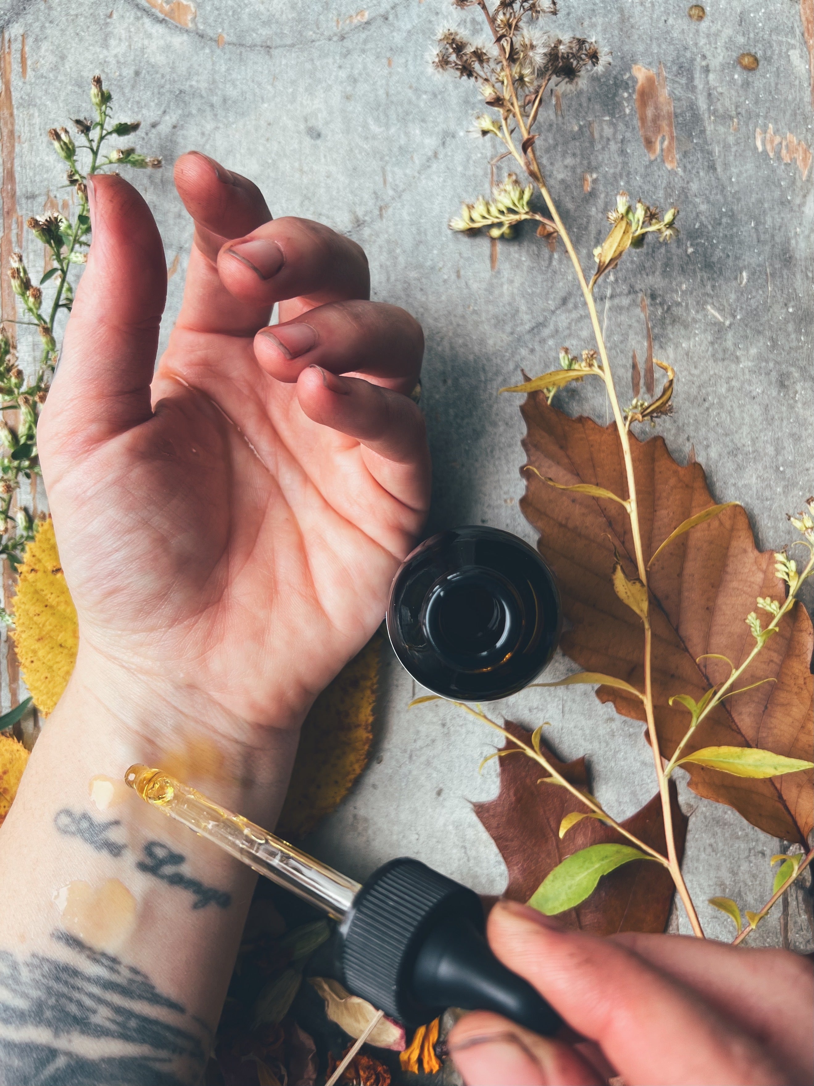 ‘Find the Light’ Face / Body Oil Sea Ox