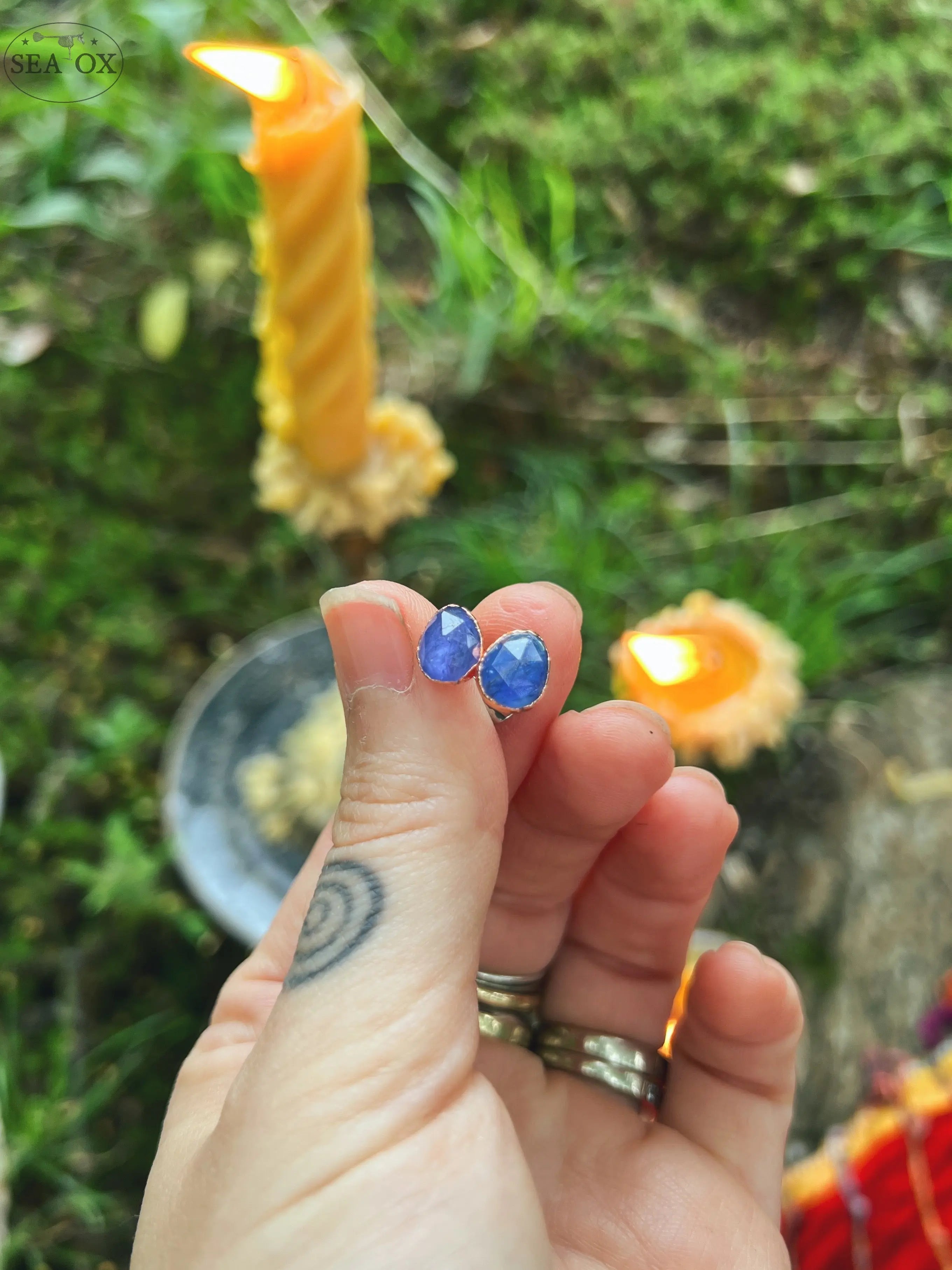 Luminous Tanzanite Stud Earrings Sea Ox