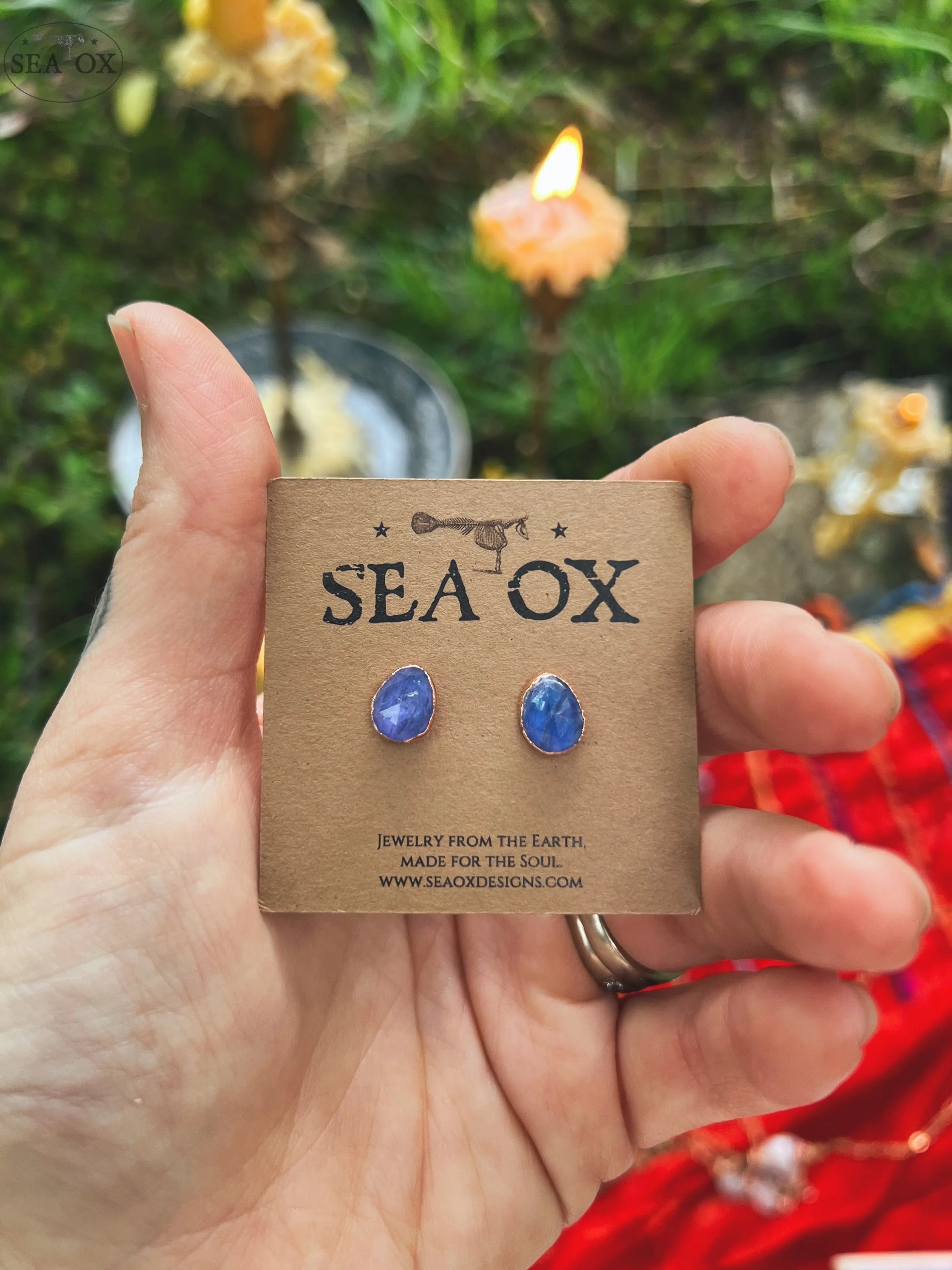 Luminous Tanzanite Stud Earrings Sea Ox